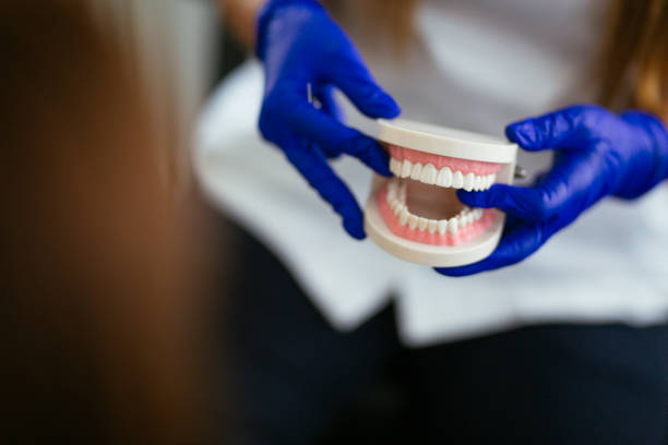 Best Dental Fillings (Composite and Amalgam)  in Sherman, IL